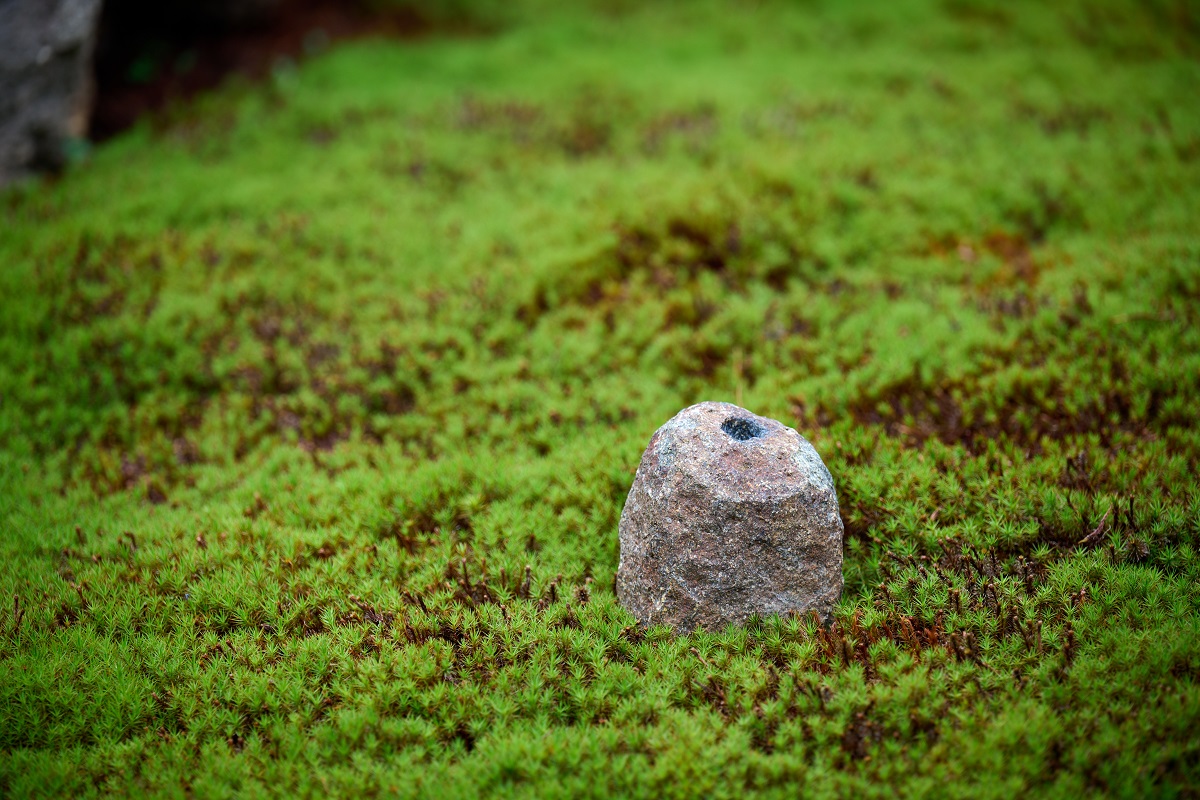 加茂七石（鞍馬石）一輪挿し 【京の庭大工 植司 皆川拓哉